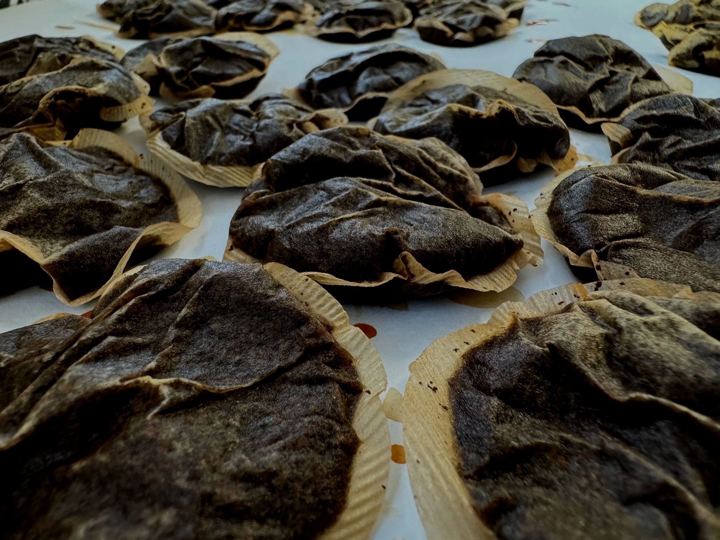 Art and Design CPD professional development