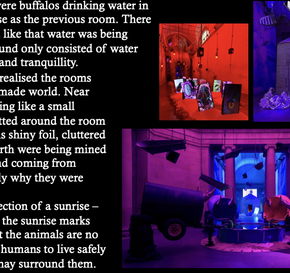 Contemporary art installation